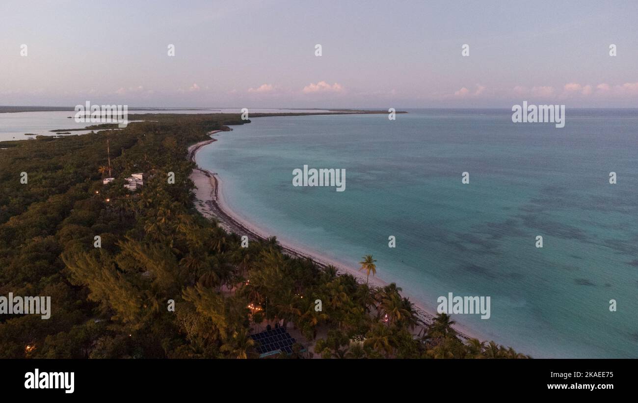 An aerial view of sea surrounded by beach with dense trees in Mexico ...