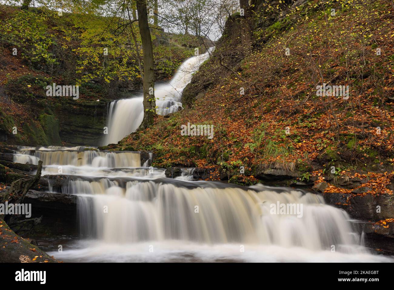 Scaleber Force is a 40 foot high waterfall on Stockdale Beck, near to the village of Settle in the Yorkshire Dales National Park, UK Stock Photo