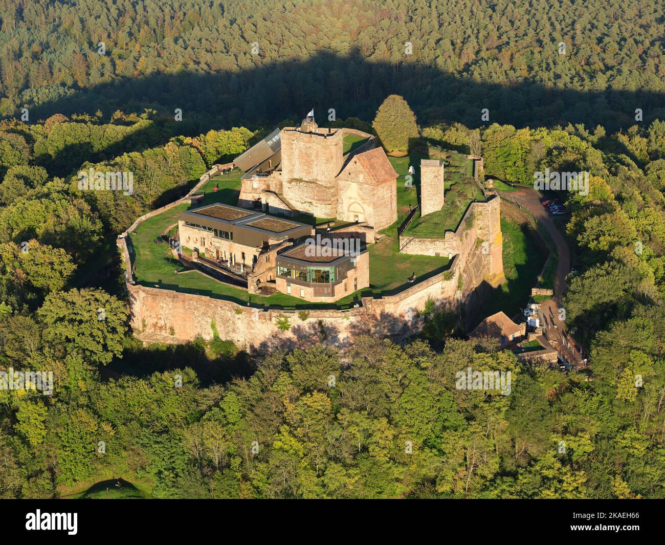 AERIAL VIEW. Medieval castle in the Vosges Mountains. Lichtenberg Castle, Bas-Rhin, Alsace, Grand Est, France. Stock Photo