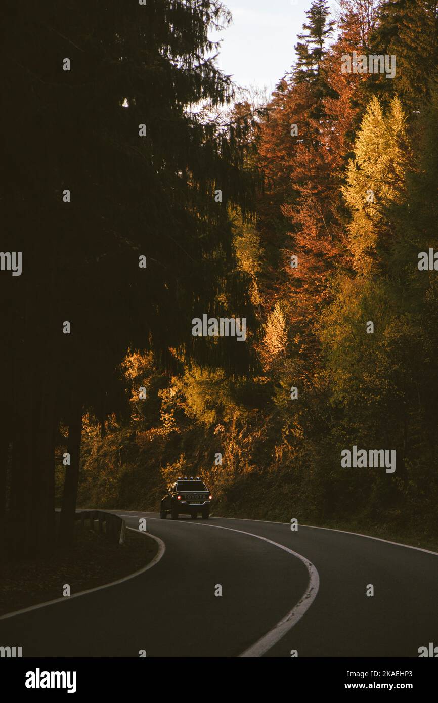 A vertical shot of a car driving on an empty road surrounded by ...