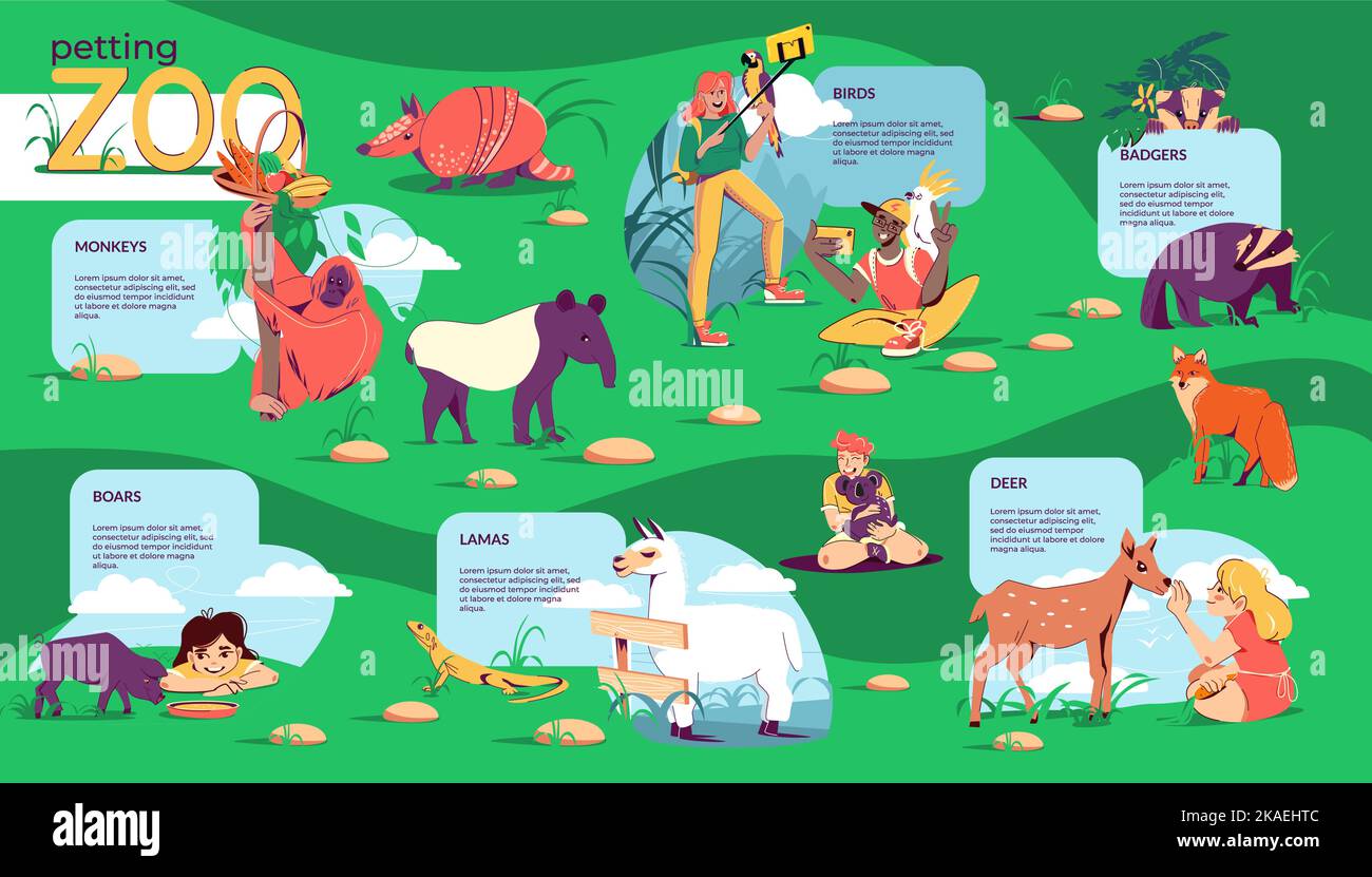 Petting zoo flat infographic composition with conceptual map of outdoor