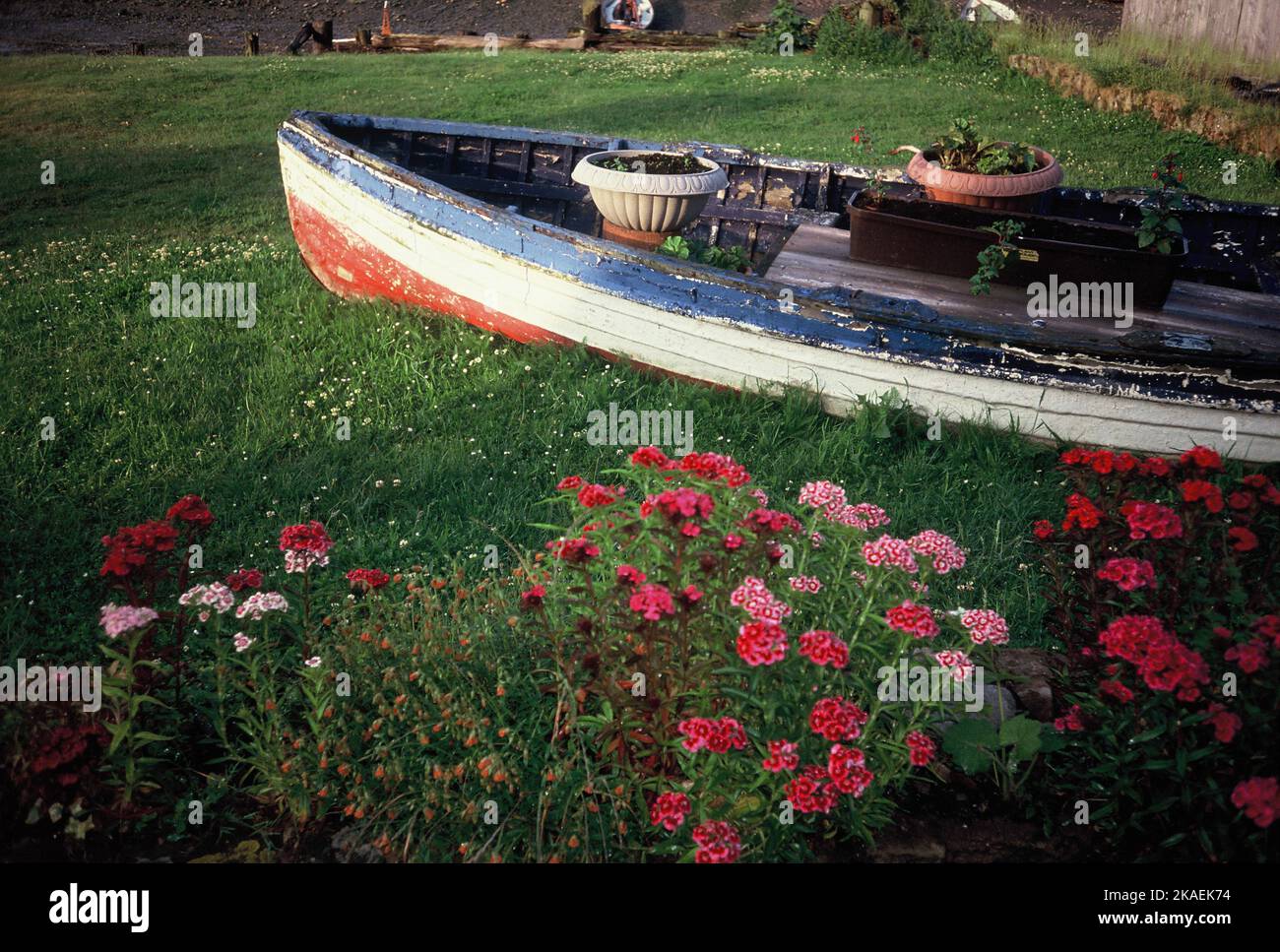 Boat planter hires stock photography and images Alamy