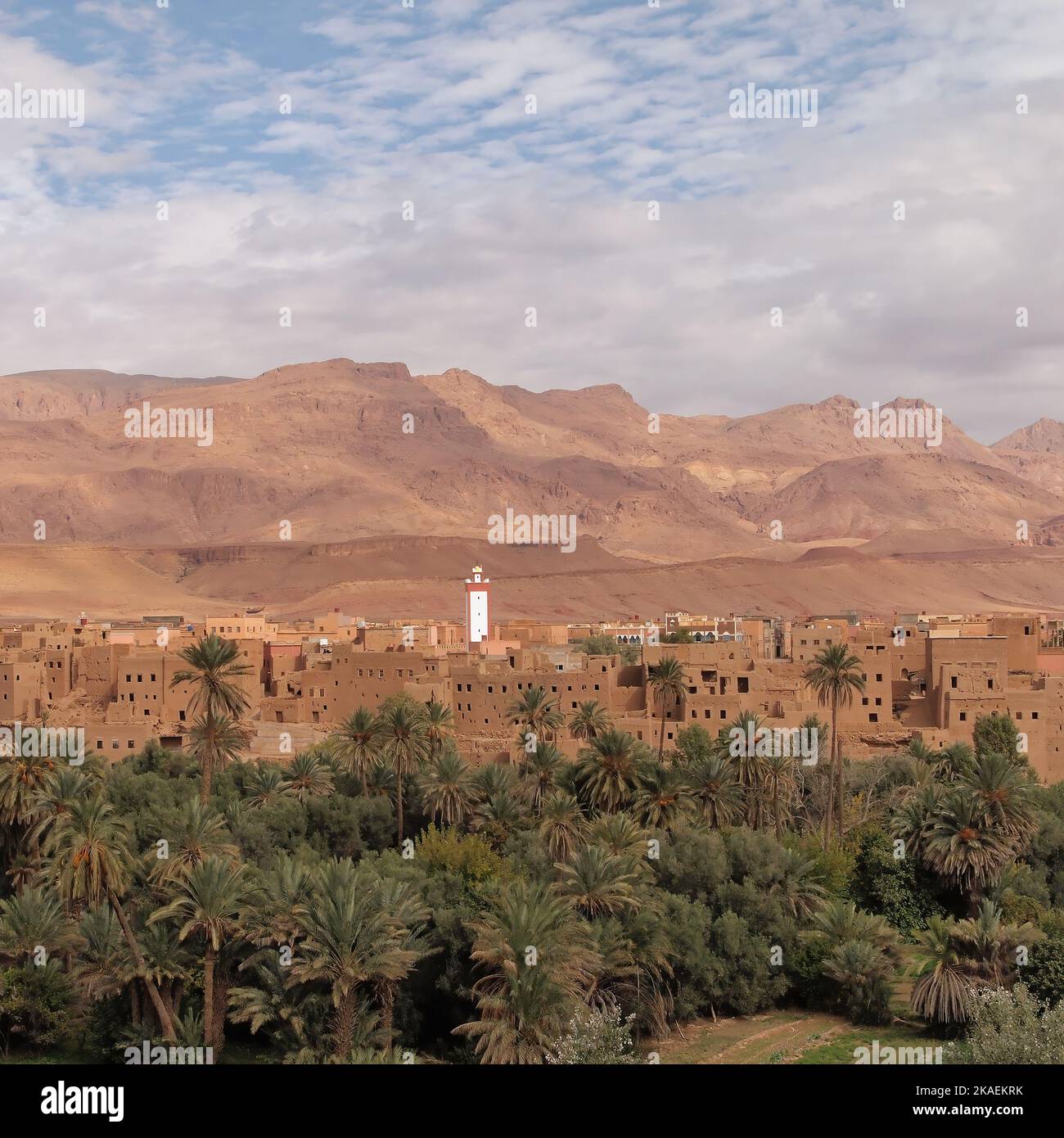 A view of the Tafilalet Oasis and the town of Erfoud in Morocco Stock ...