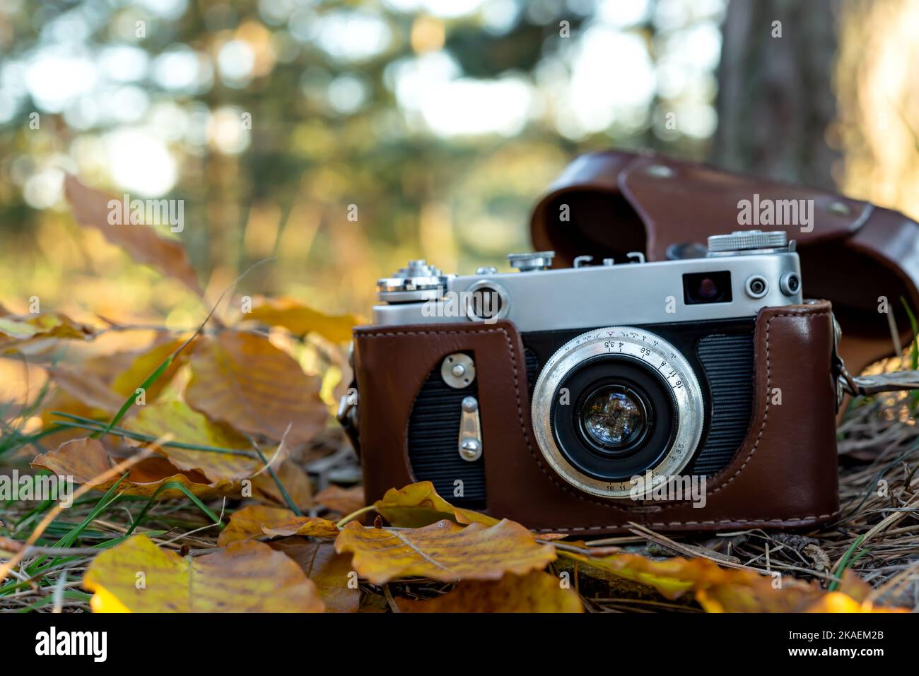 Vintage photo camera on fallen dry leaves in autumn park. Selective ...
