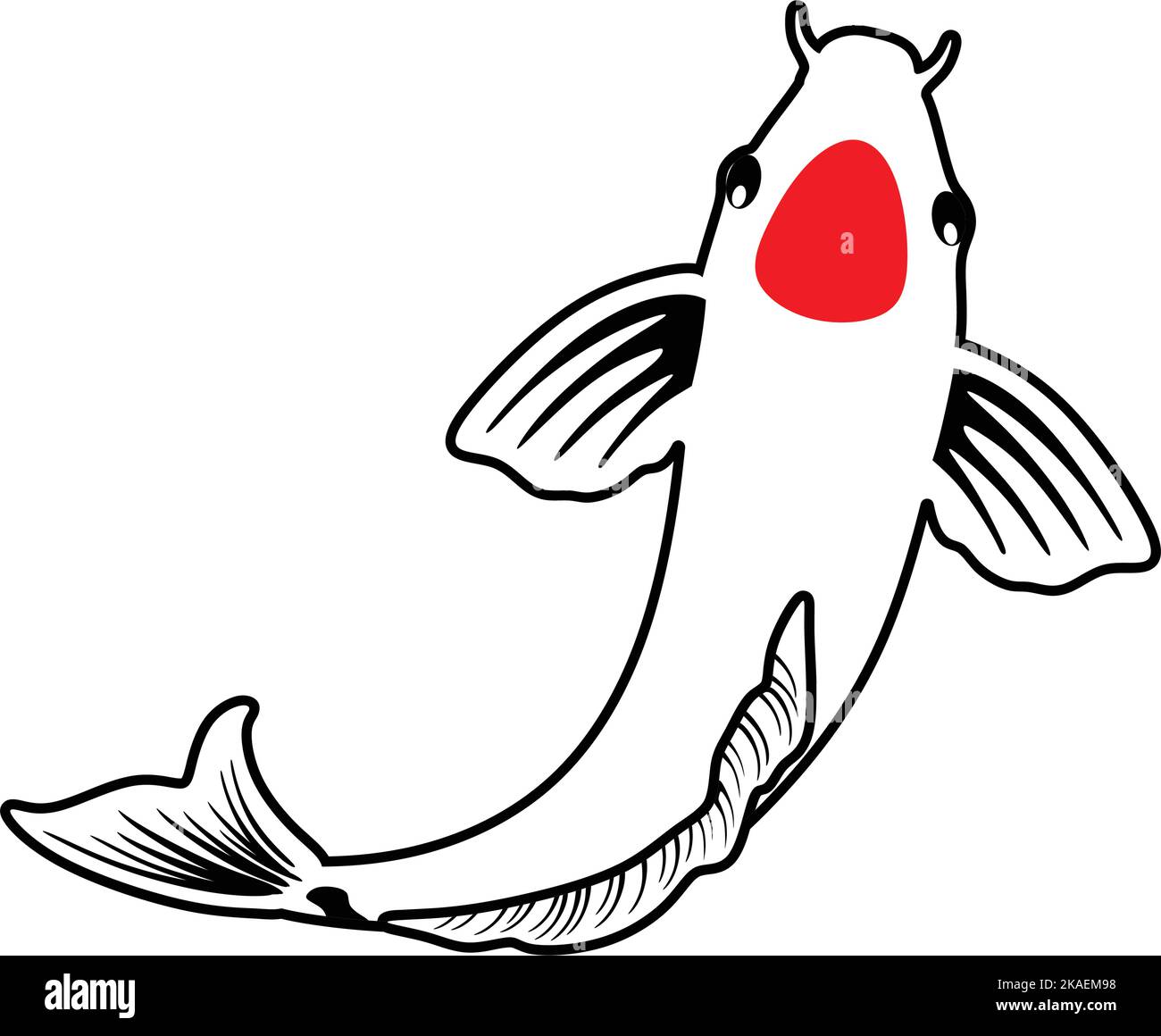 The white koi fish with a red spot isolated on white background