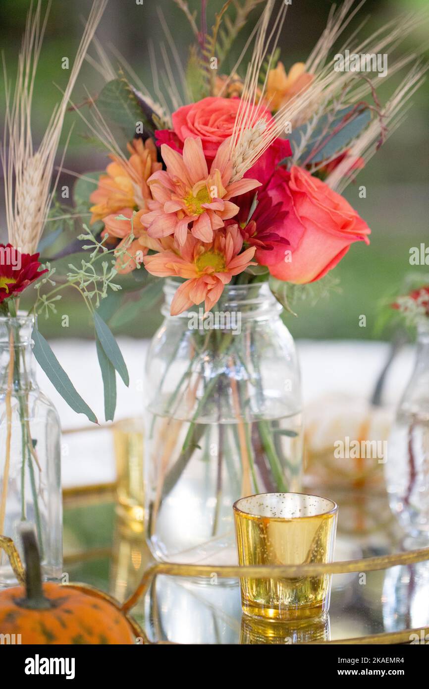 A wedding Day Autumn or Fall event tablescape with pink roses and cattails in mason jar glasses Stock Photo