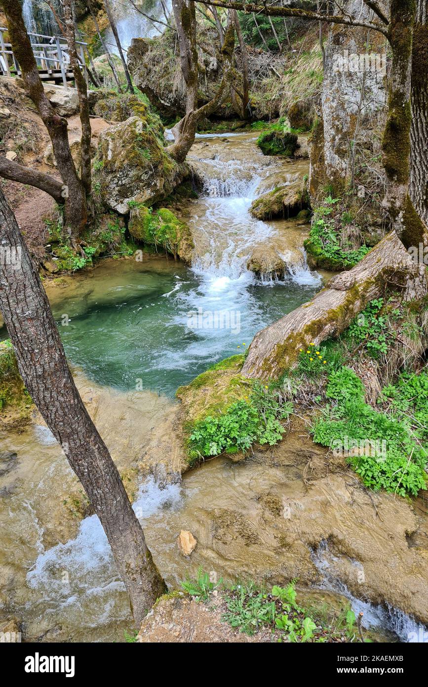 A vertical shot of a small waterfall in a forest Stock Photo - Alamy