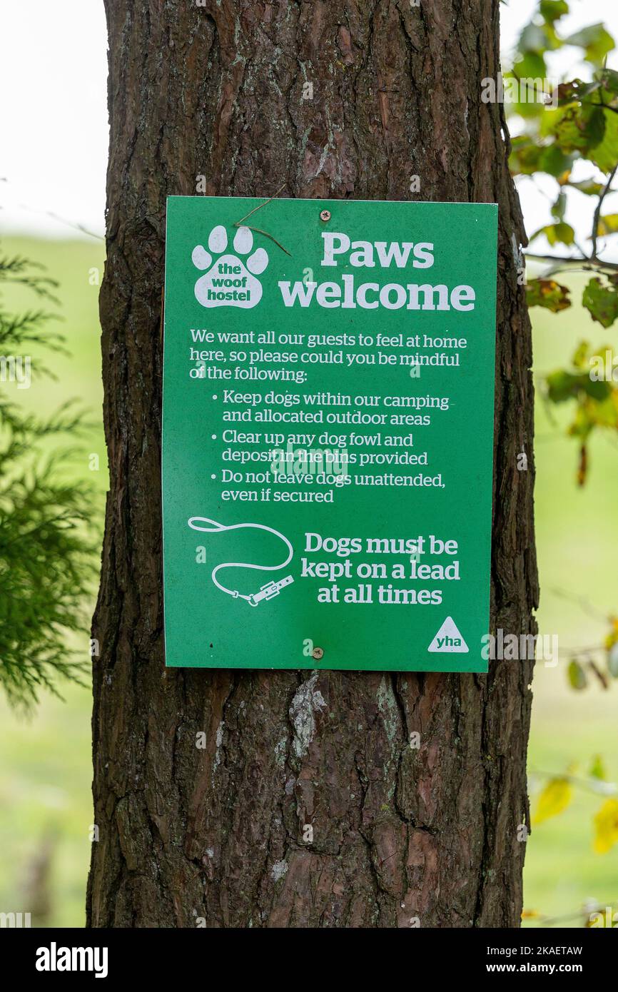 Poster inviting dogs to the Youth Hostel, Truleigh Hill, Shoreham by Sea, South Downs, West Sussex, England, Great Britain Stock Photo