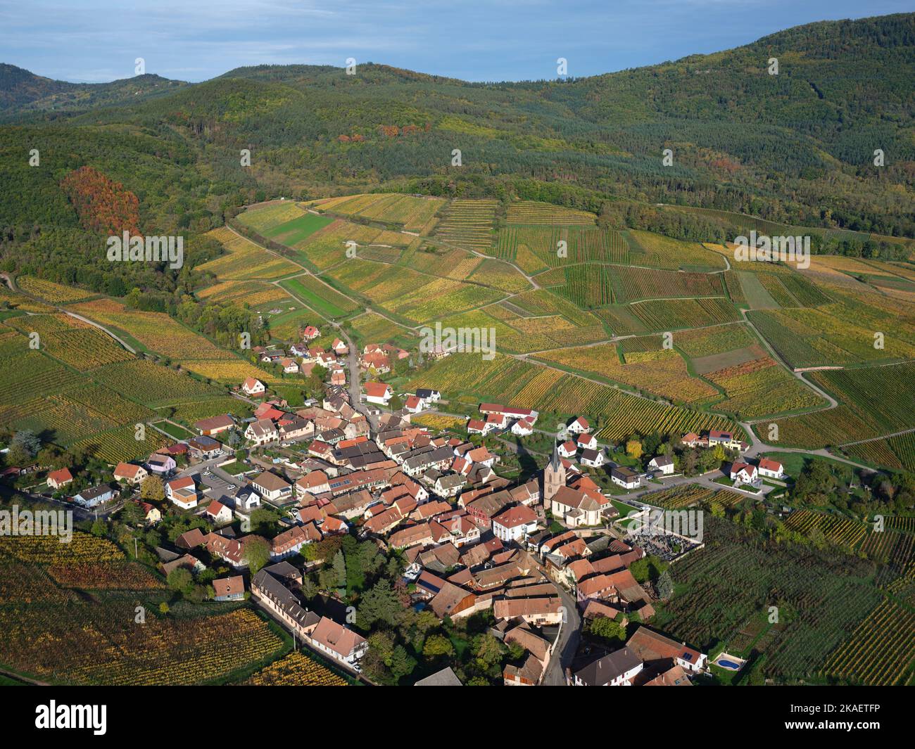 AERIAL VIEW. Picturesque village at the foothills of the Vosges Mountains with the vineyards in autumnal colors. Rodern, Alsace, Grand Est, France. Stock Photo