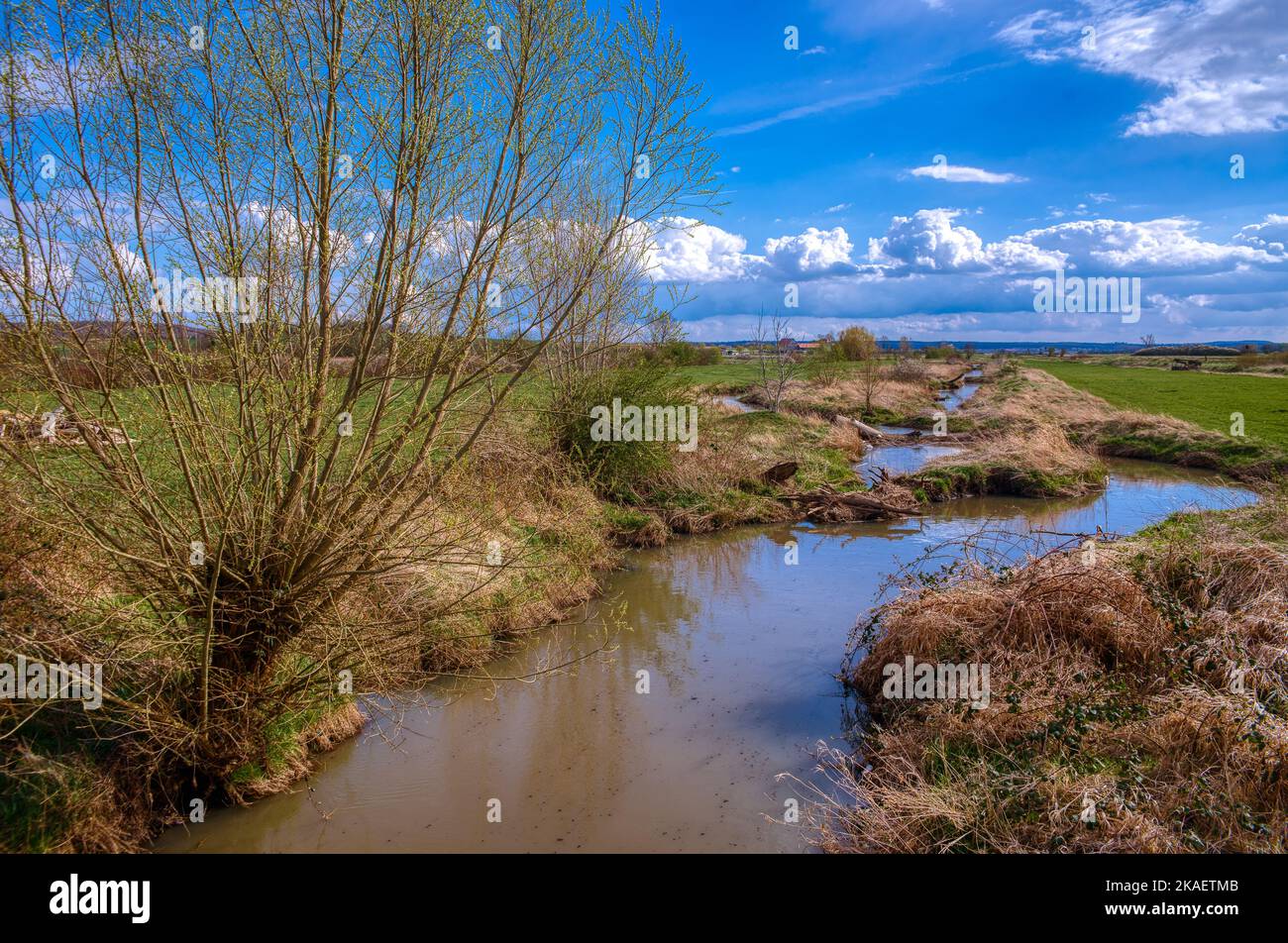 A small river flowing through fields under a blue cloudy sky on a sunny ...