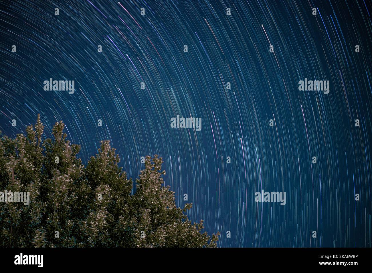 Stars move around a polar star. Star trails in the blue night sky. Stock Photo