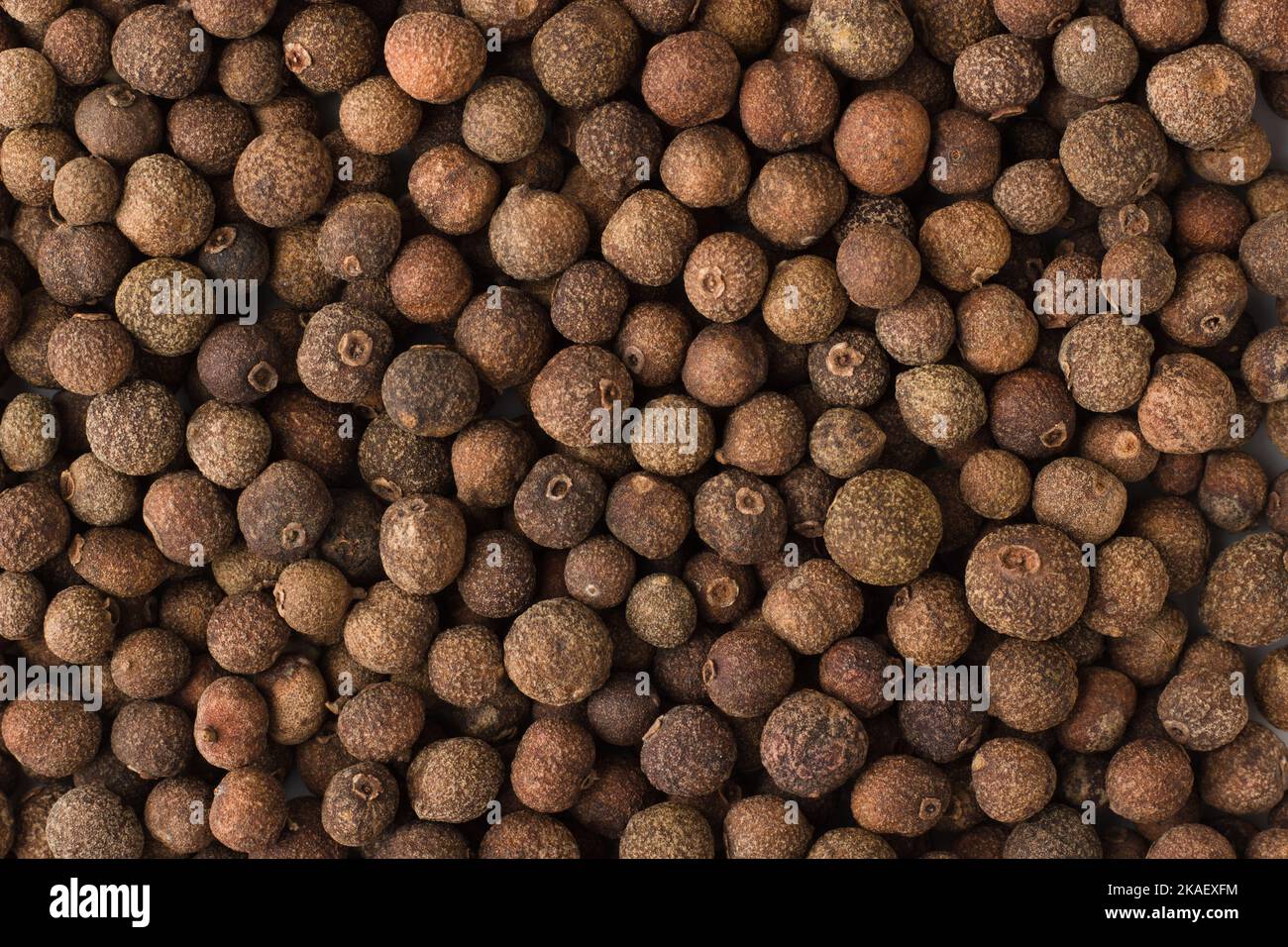 texture of allspice closeup, spice or seasoning as background Stock
