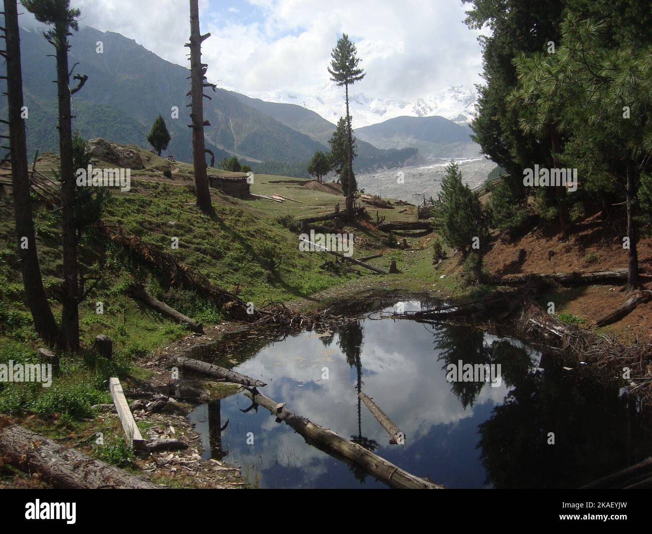 A pond in fairy Meadows Stock Photo