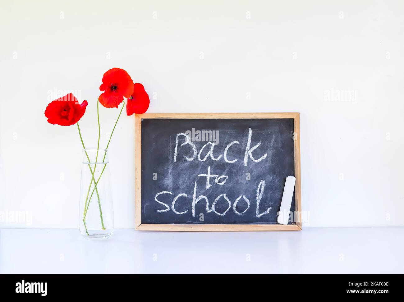 Back to school background. Words on the white lightbox. Stock Photo