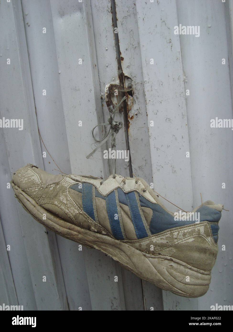 The hanging shoe Stock Photo Alamy