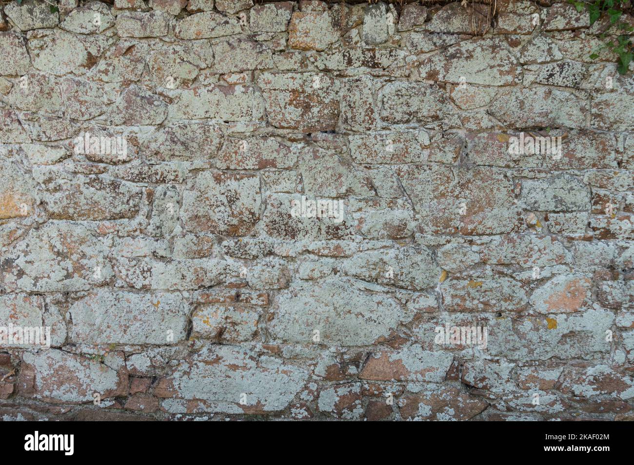 Texture brick wall, high-quality detailing Stock Photo