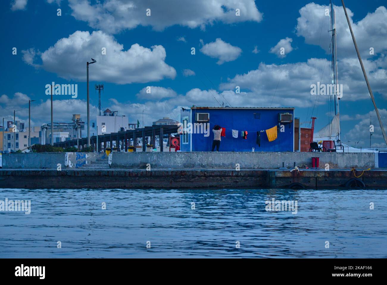 Sea shore life in Saudi Arabia Stock Photo