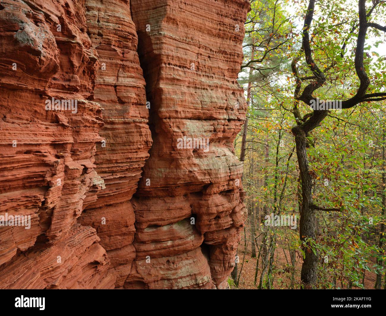 The rock formation of the Altschlossfelsen. Eppenbrunn, Rhineland-Palatinate, Germany. Stock Photo