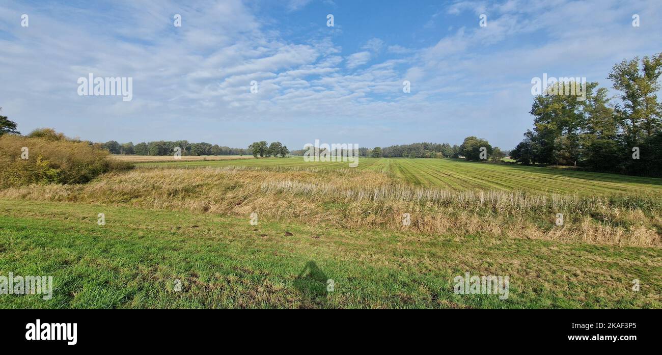 A beautiful summer landscape with a green field against the background of the blue sky. Bremervorde, Germany. Stock Photo