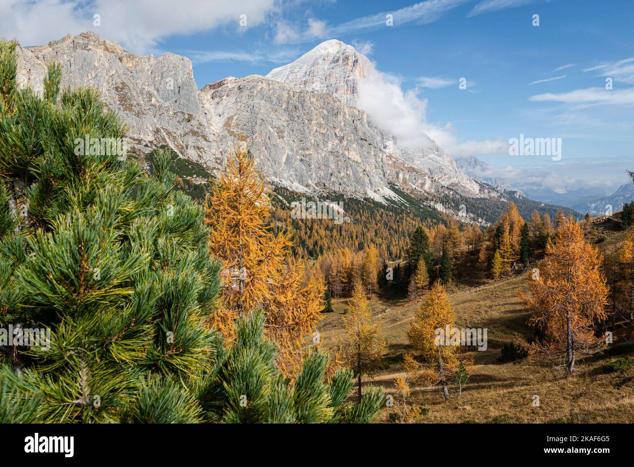 Clouds surround the south face of the Tofane di Rozes above autumnal mountain forests on the Falzarego Pass, Dolomites, Italy Stock Photo