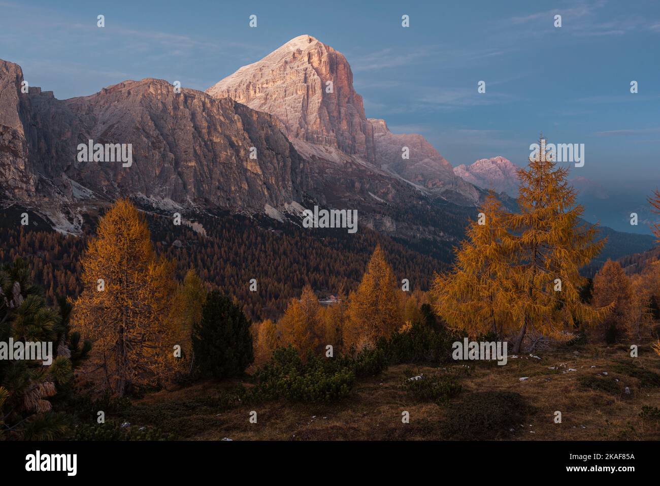 Alpenglow at the Tofane di Rozes above autumnal mountain forests at the Falzarego Pass in the evening sun, Dolomites, Italy Stock Photo
