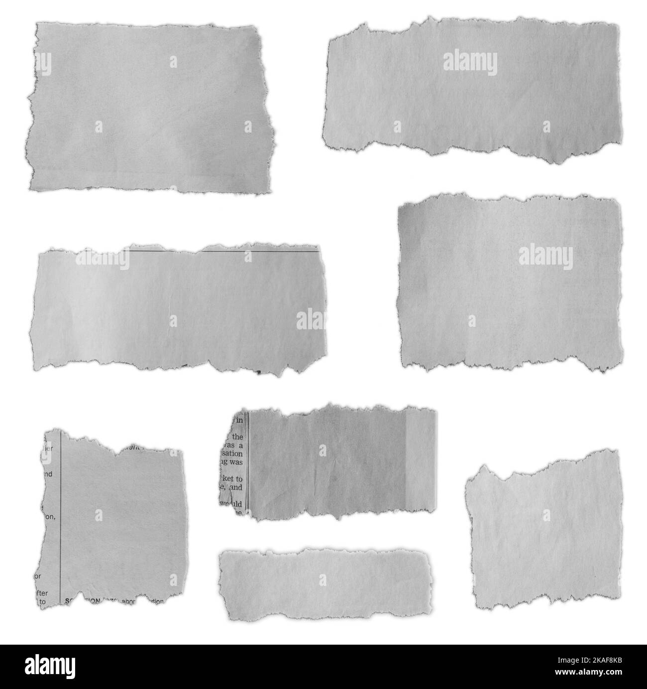 Eight pieces of torn paper on plain background Stock Photo