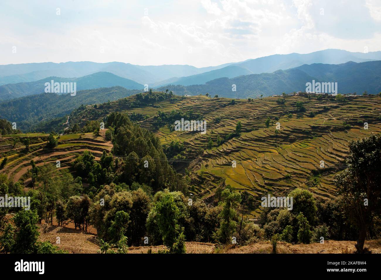 Typical terraced fields used in villages on the Kumaon hills, Uttarakhand, northern India Stock Photo
