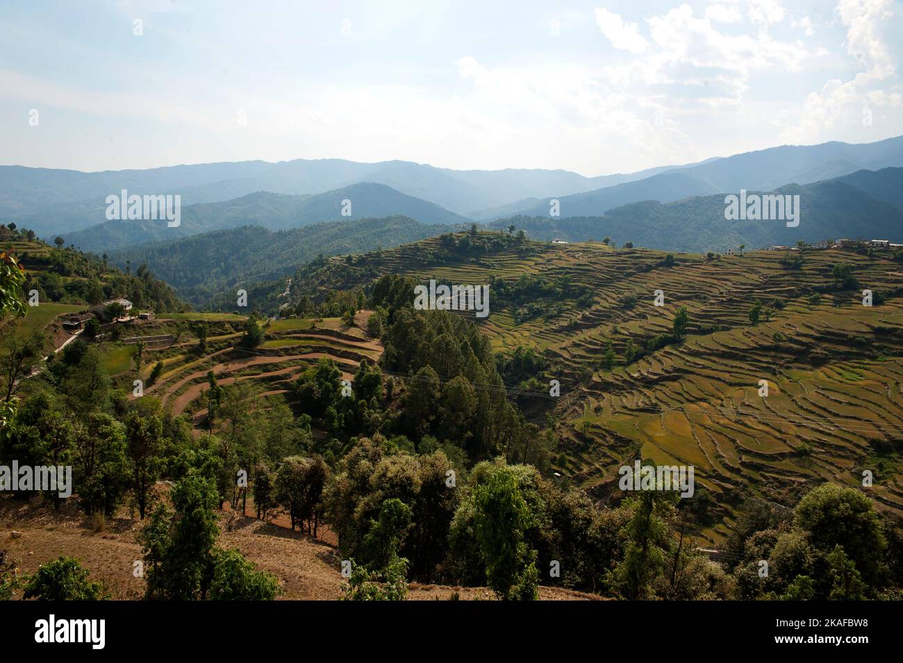 Typical terraced fields used in villages on the Kumaon hills, Uttarakhand, northern India Stock Photo