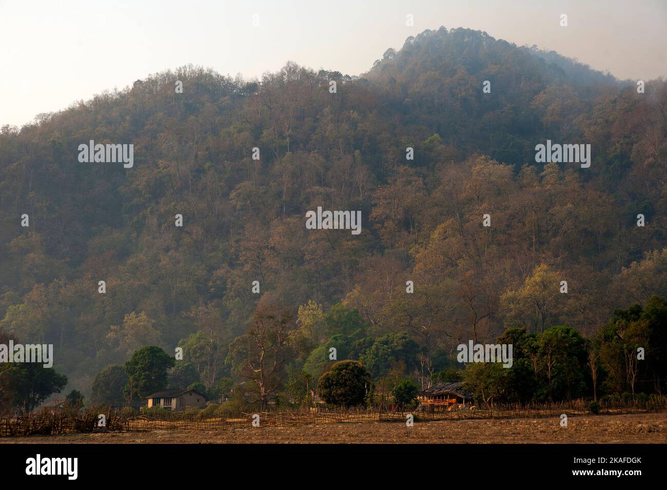 Chuka village with heavy jungle in the background. Chuka village was made famous by Jim Corbett in his book Maneaters of Kumaon, Uttarakhand, India Stock Photo