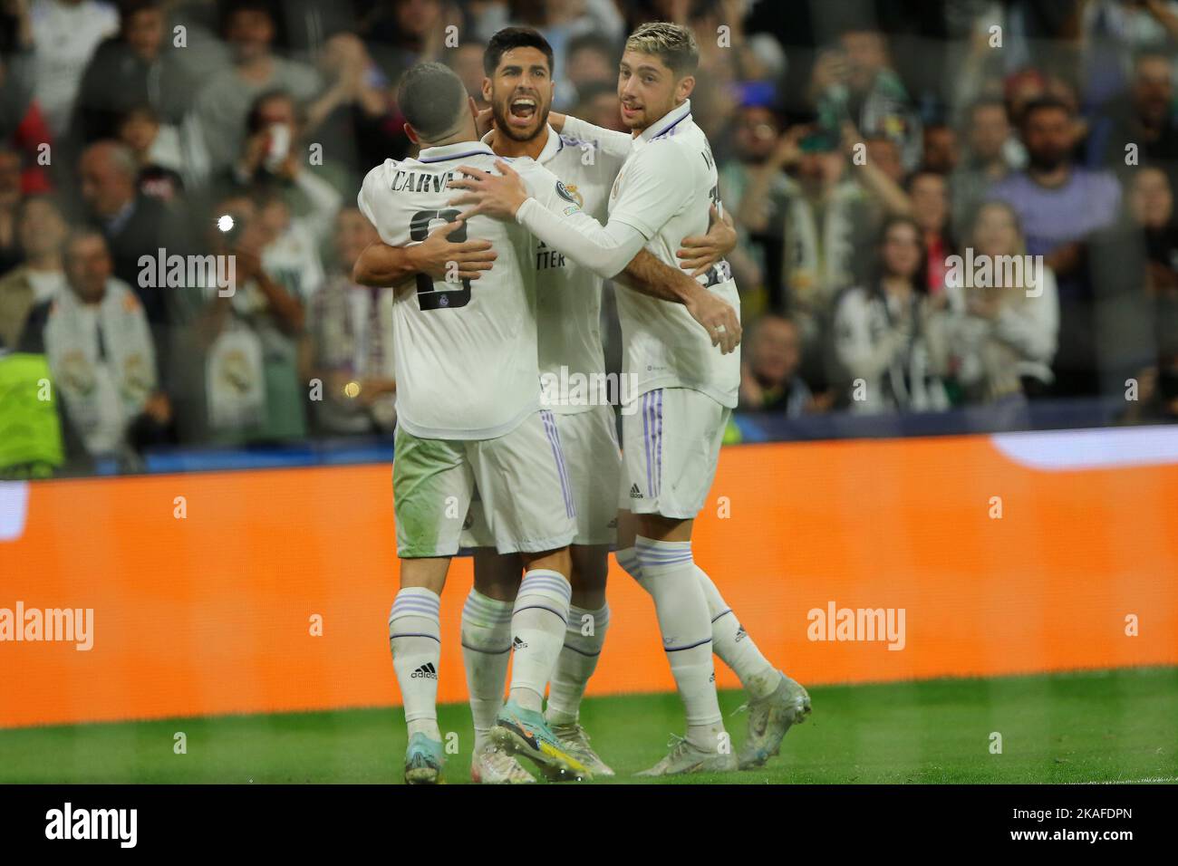 Stadium championes adidas hot sale