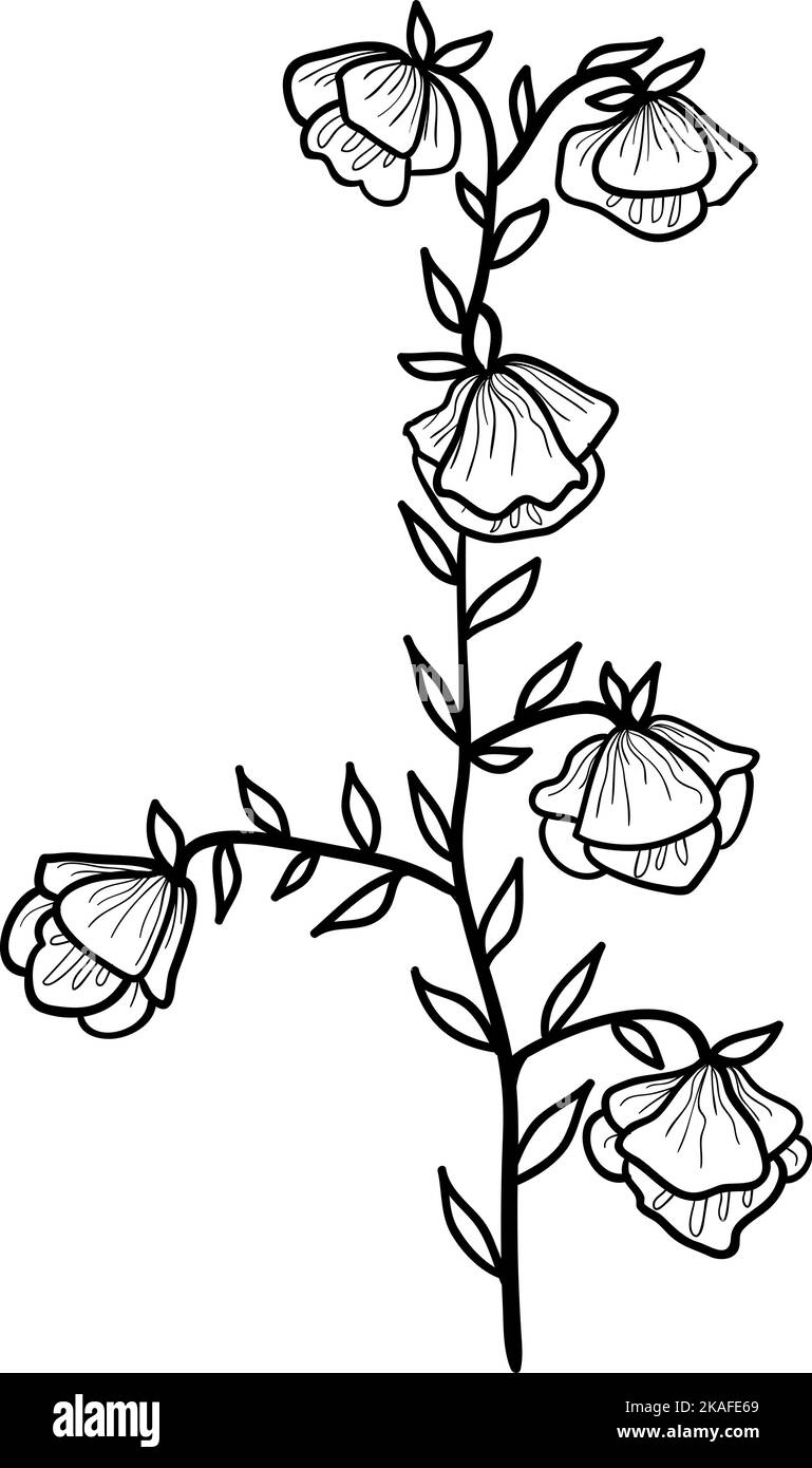 Vector flower illustration isolated on white background Stock Vector ...