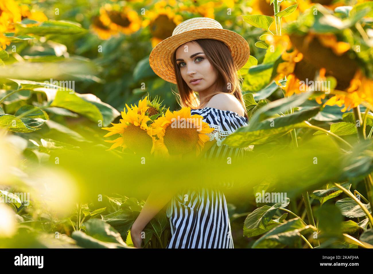 Young woman in hat enjoying summer in sunflower field at sunset Stock ...