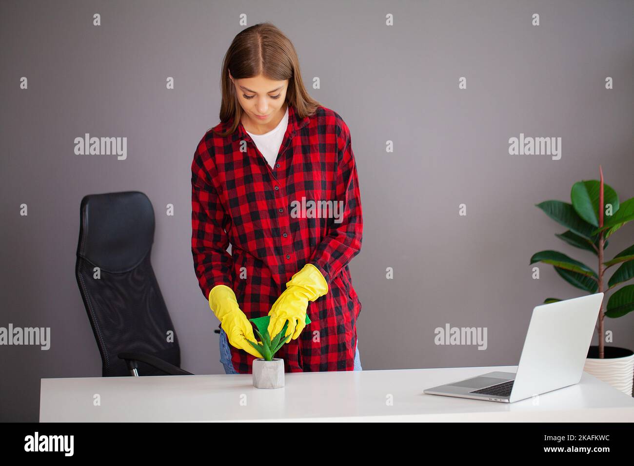 Young female worker cleaning office in yellow gloves Stock Photo - Alamy