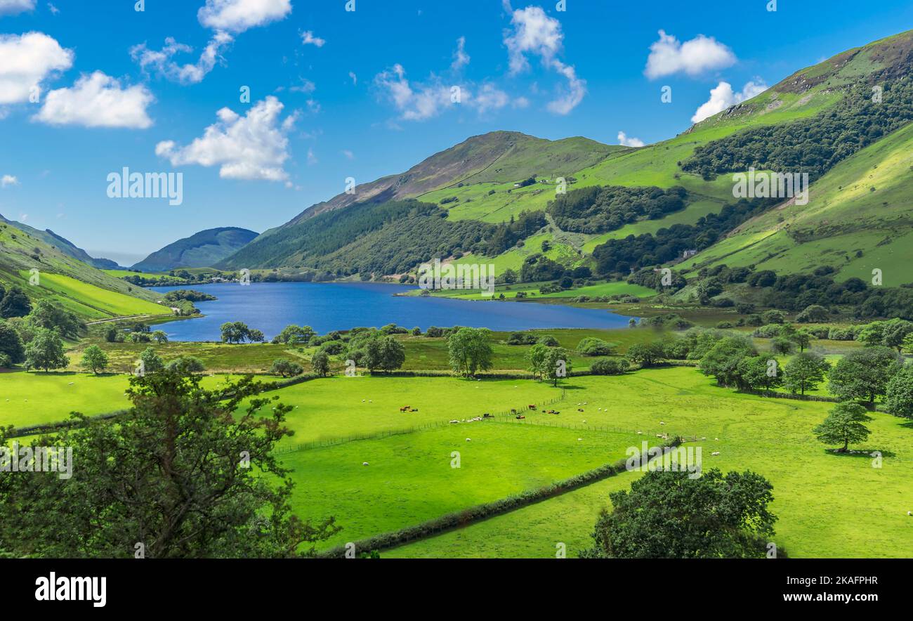 the beautiful Talyllyn Glacier Lake in North Wales in summer with blue sky and green grass Stock Photo