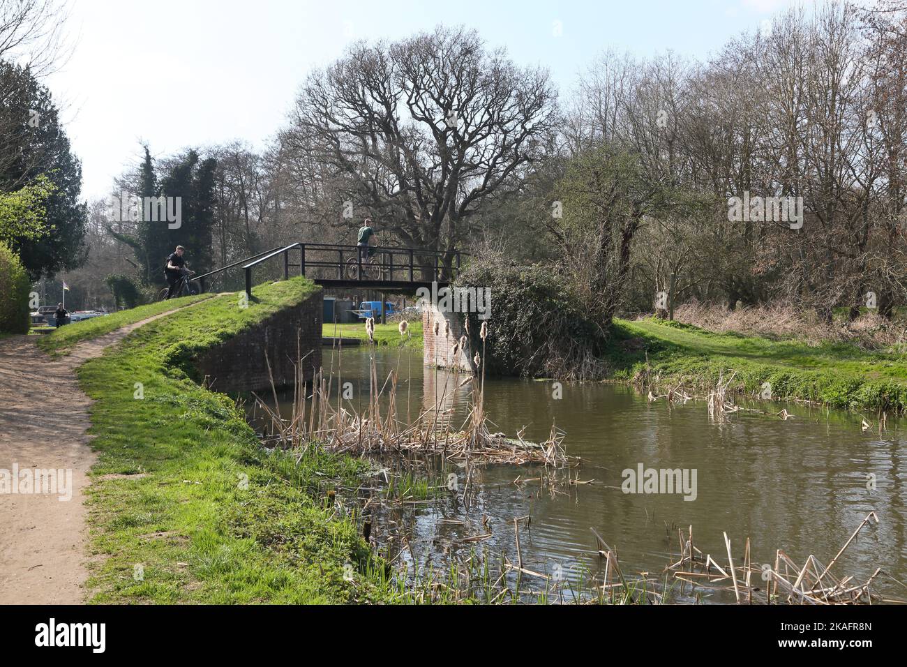 Cyclists going over footbridge at walsham lock river wey navigation surrey england Stock Photo