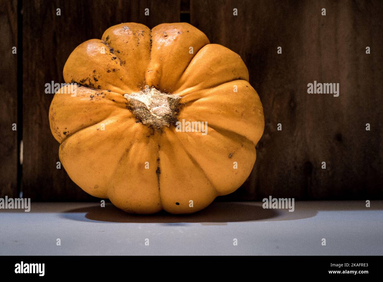 Autumn pumpkin and fall decor on a rustic wood background with copy ...