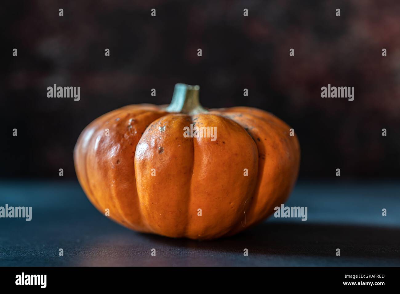 Autumn pumpkin and fall decor on a rustic wood background with copy ...