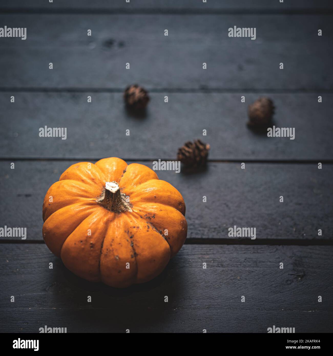 Autumn pumpkin and fall decor on a rustic wood background with copy ...