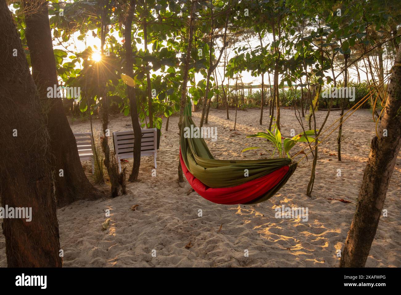 View of sand ground and hammock between pine trees in South India
