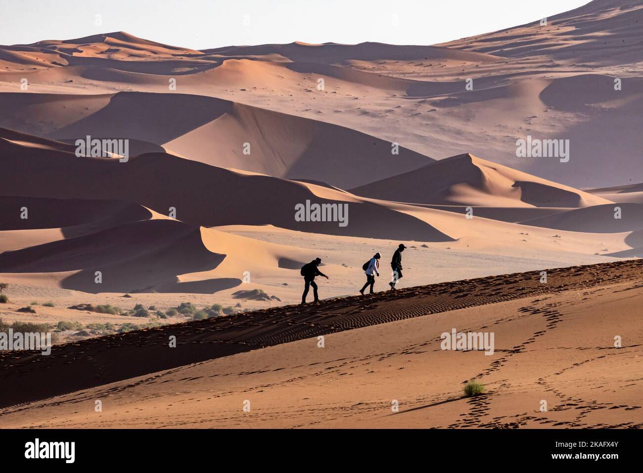 Hikers in the Namib desert dunes, Namibia Stock Photo - Alamy