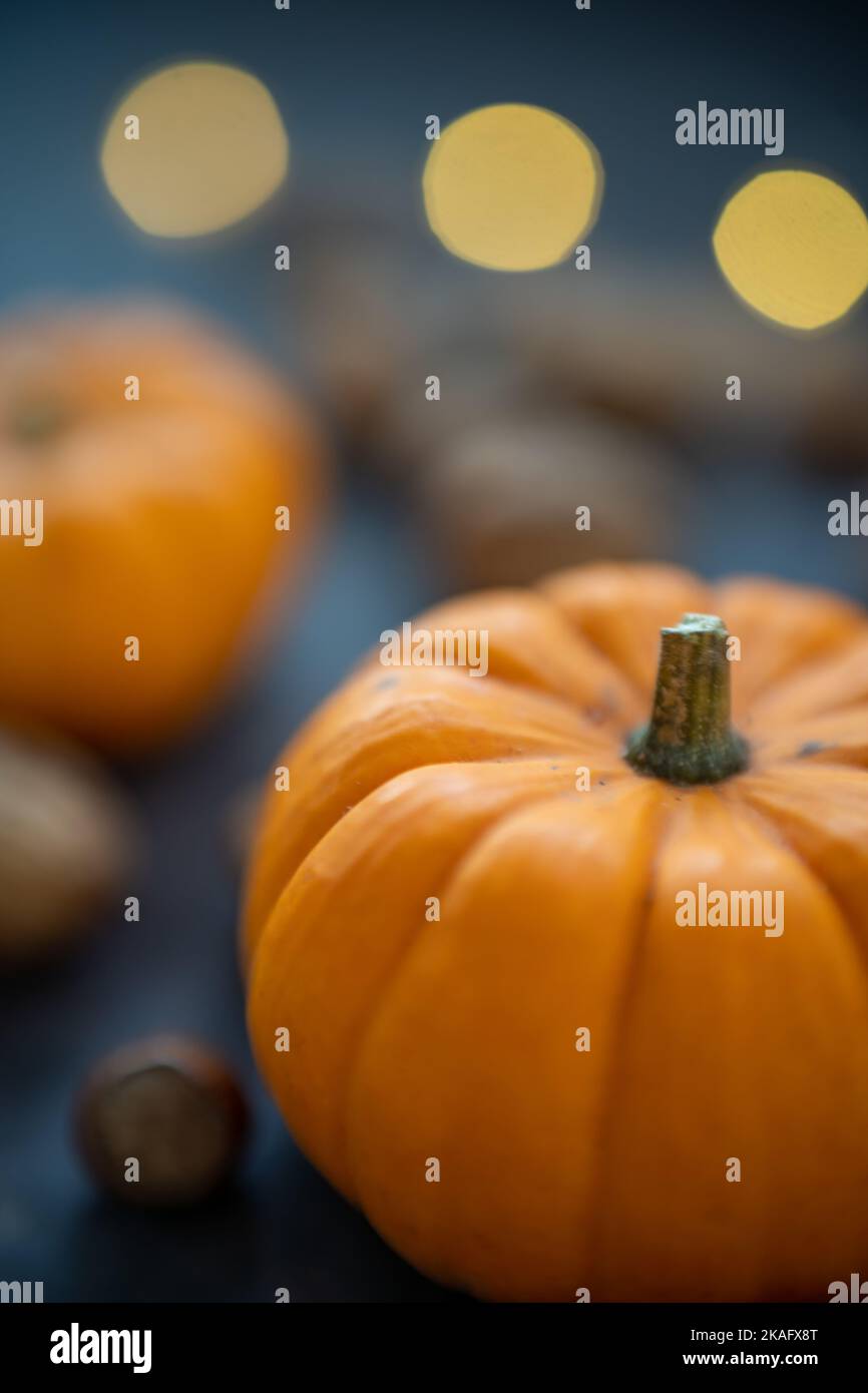 Autumn pumpkin and fall decor on a rustic wood background with copy ...