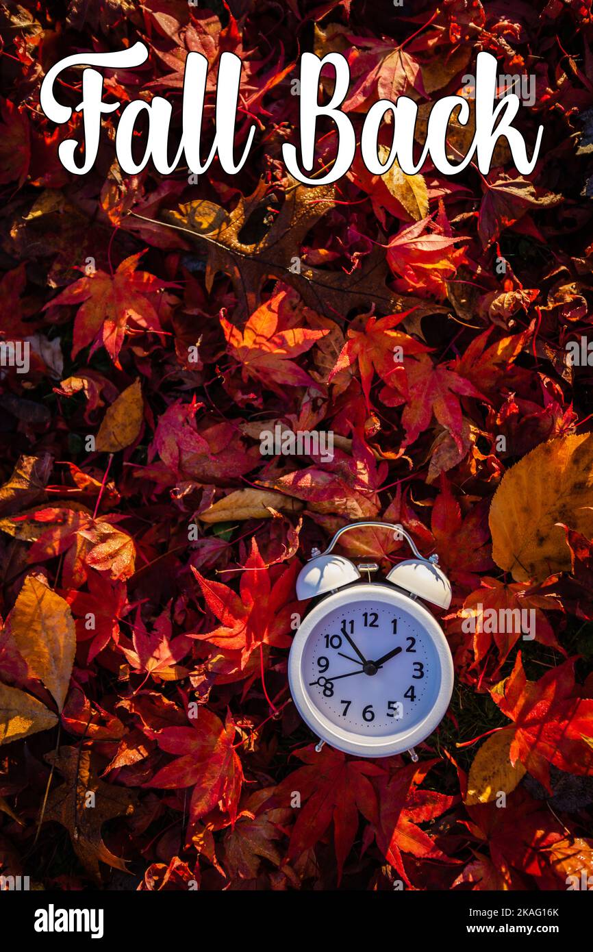 Fall Back text Daylight Saving Time vivid red autumn leaves background in morning light Stock Photo