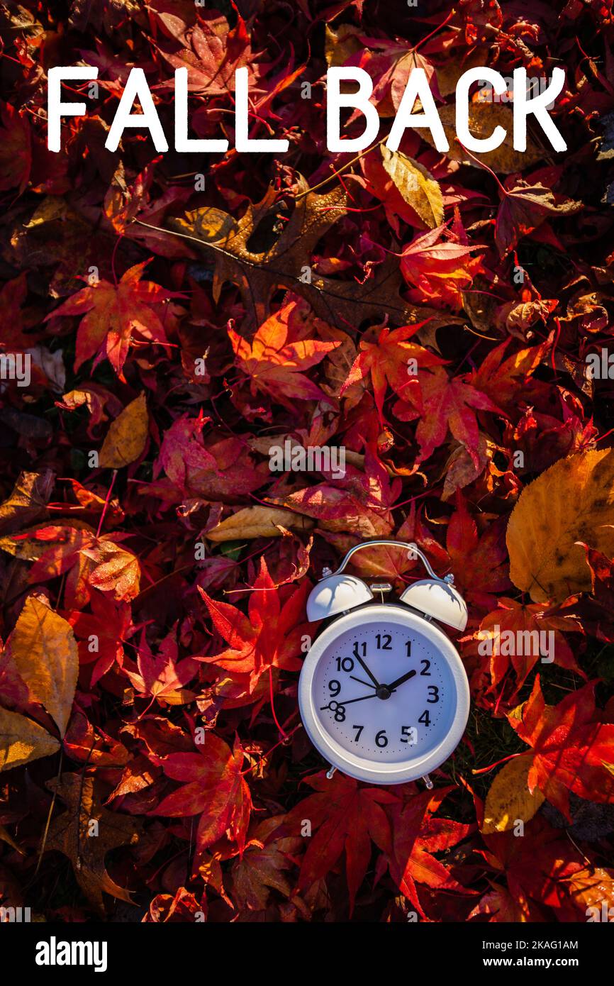Fall Back text Daylight Saving Time vivid red autumn leaves background in morning light Stock Photo