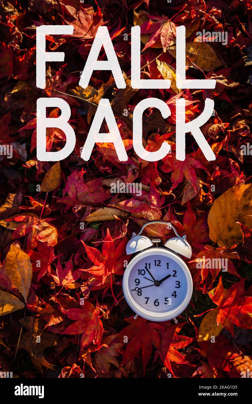 Fall Back text Daylight Saving Time vivid red autumn leaves background in morning light Stock Photo