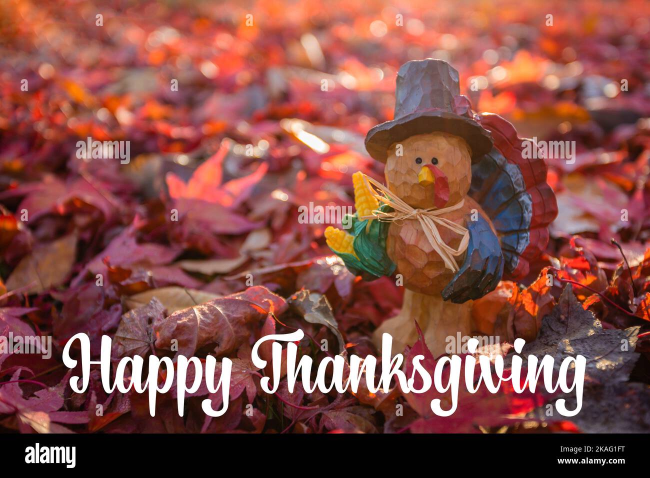 Happy Thanksgiving text vivid red autumn leaves background in morning light and turkey Stock Photo
