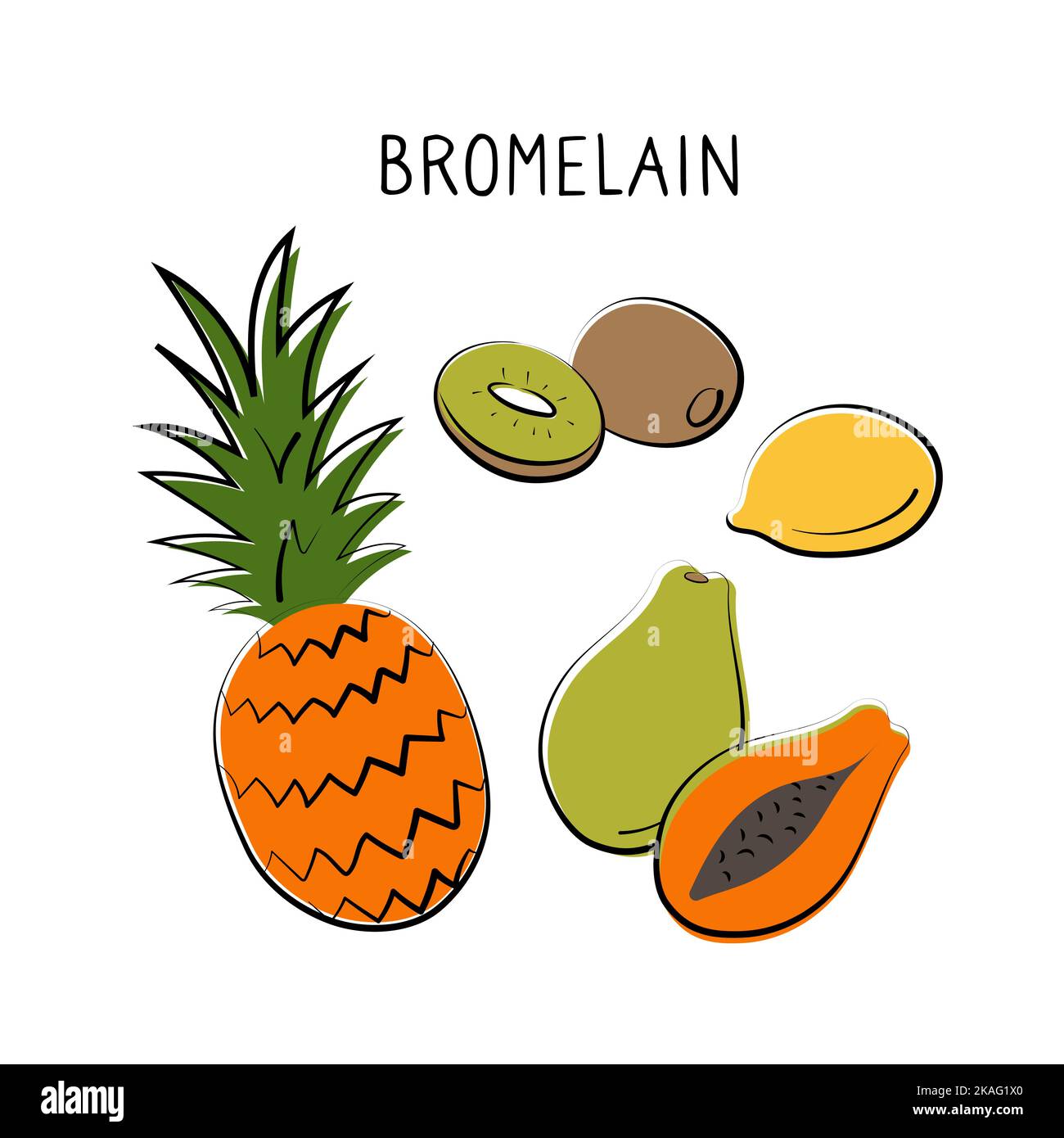 Bromelaincontaining food. Groups of healthy products containing vitamins and minerals. Set of
