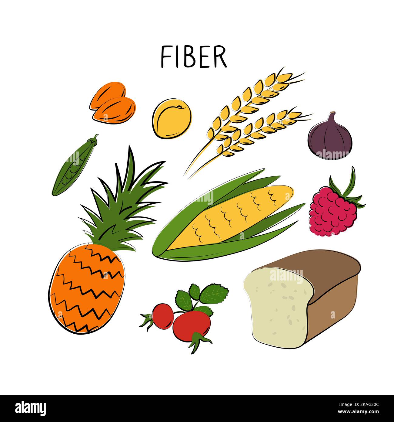 Fibercontaining food. Groups of healthy products containing vitamins