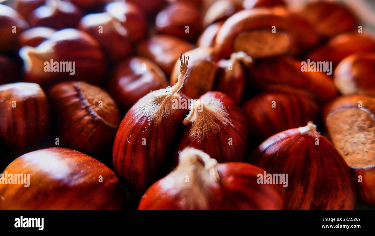 Chestnuts, two chestnuts  leaning against each other on the blurred brown background, selective focus. Stock Photo