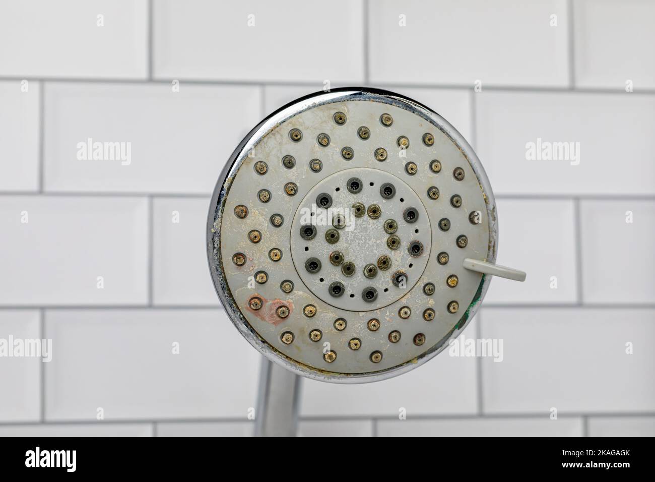Dirty shower head in bathroom. Household chores, cleaning and housekeeping concept Stock Photo