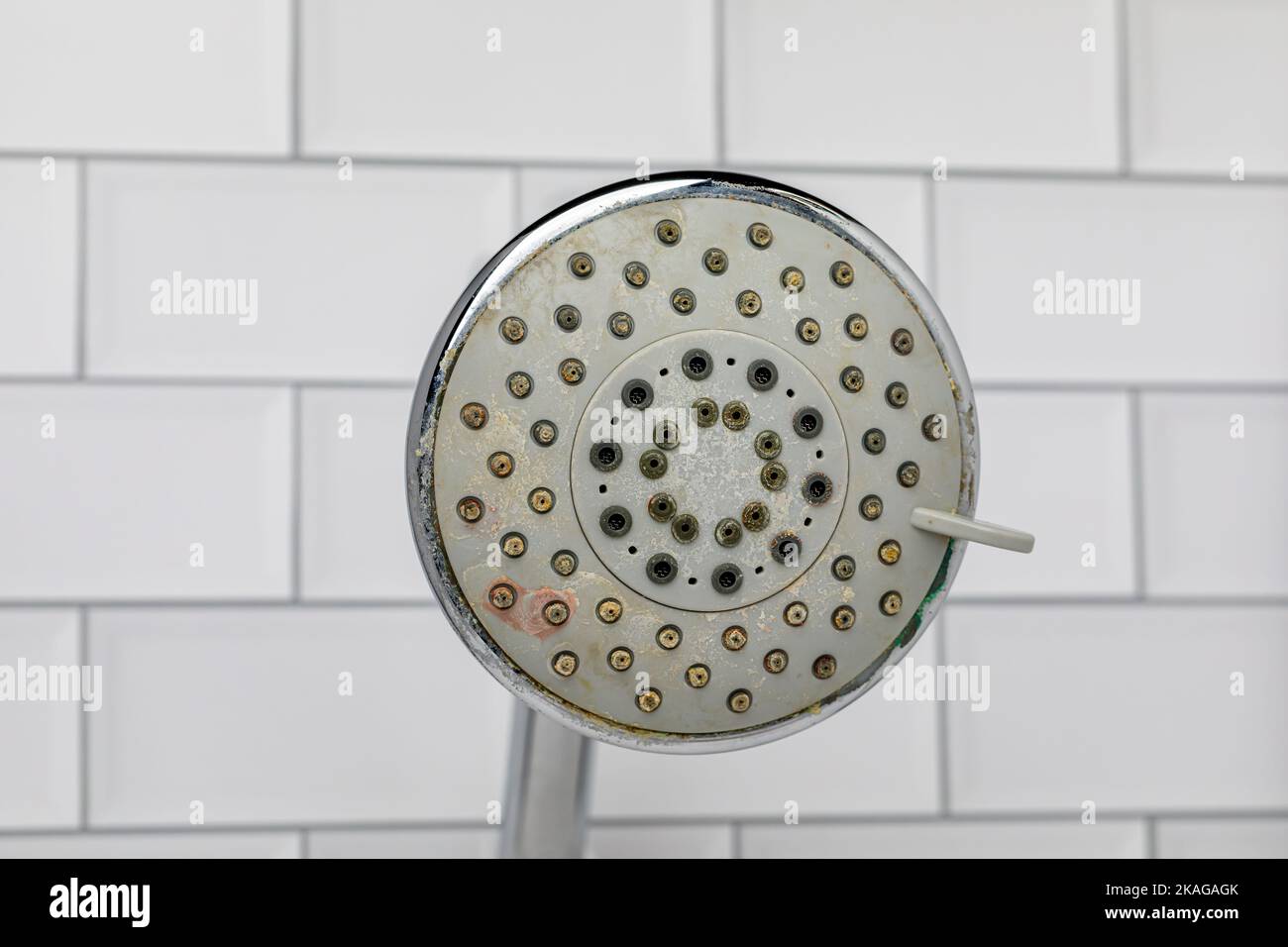 Dirty shower head in bathroom. Household chores, cleaning and